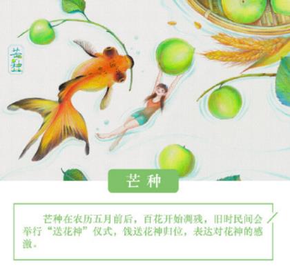 严介和和王健林对话