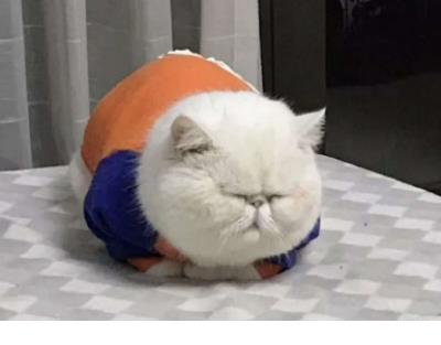 严介和语录经典语录自信