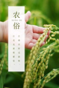 ​qq空间经典短语