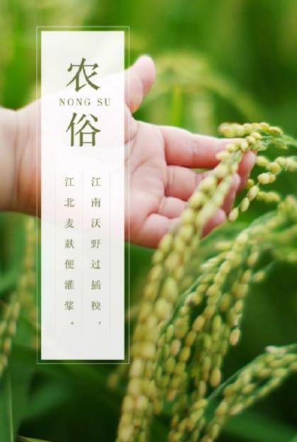 qq空间经典短语