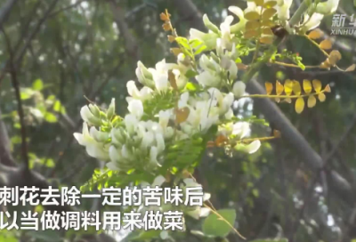 ​句句温馨(晚安唯美的句子,一句话经典的晚安说说)