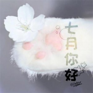 ​描写夜晚凄凉的段落（关于描写黑夜的句子）