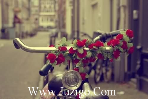 古风仙气冷清句子古风高冷仙气的语录(精选26句)