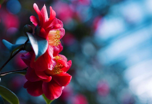 1686007217110475.png image.png