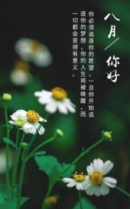 ​泰国旅游的唯美句子（我爱旅游的句子唯美）