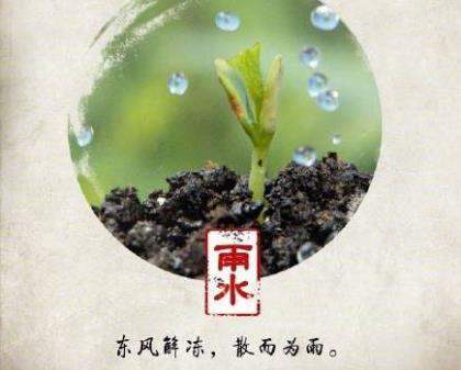 弟子规中关于礼仪的句子有哪些
