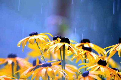 ​描写下雨天心情的说说（精选127句）