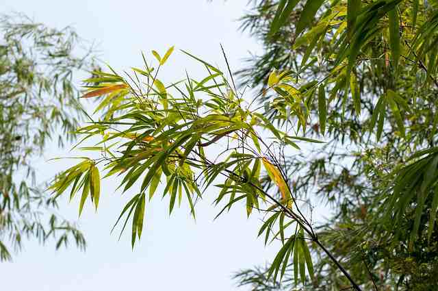 天气热又停电心情烦躁的朋友圈说说80句