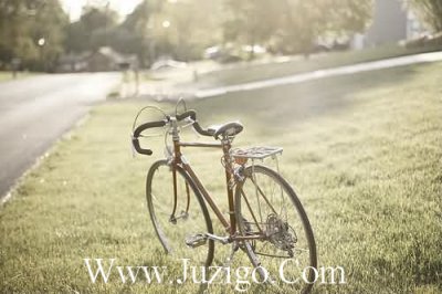 ​关于春天的古诗关于春天的古诗5首(精选48句)