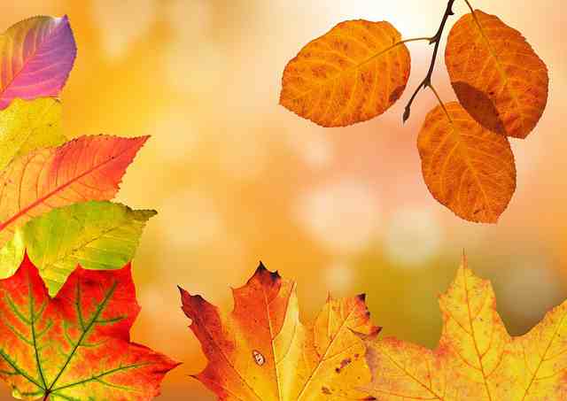 旧人不可追，初见不可复