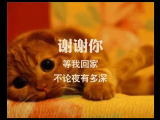每天一句心情晚安说说