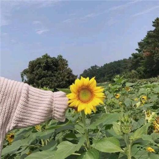 qq空间说说伤感