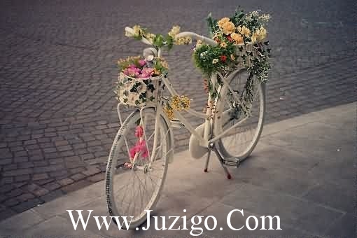 多云谚语18句