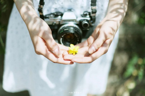 关于学习歇后语40句