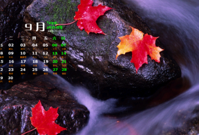 ​写春的诗句