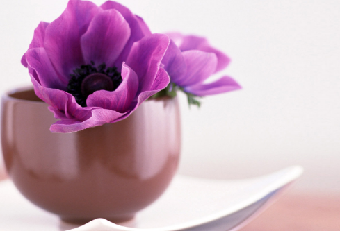 1687004363583812.png image.png