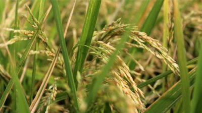 ​6月销售主题口号 2023销售口号