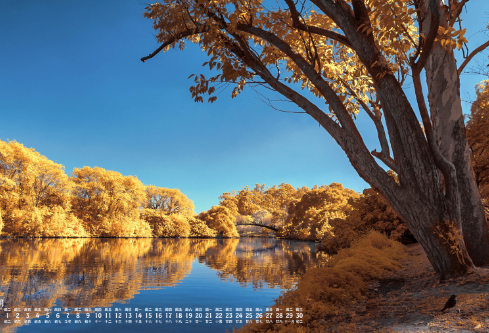 1688668782118879.png image.png