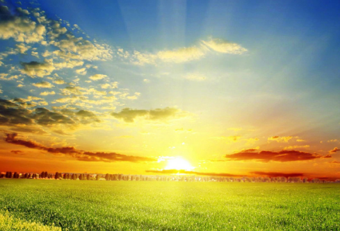 1687312312603994.png image.png