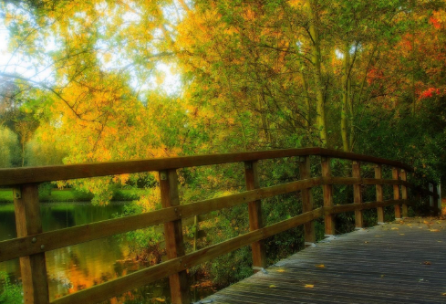 1689533181455147.png image.png
