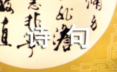 ​不惑之年的感慨诗句