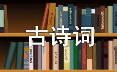 ​《答陆澧·松叶堪为酒》古诗词原文及赏析