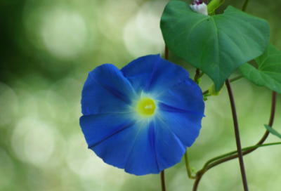 ​形容水的诗句唯美（关于描写水的古诗欣赏）
