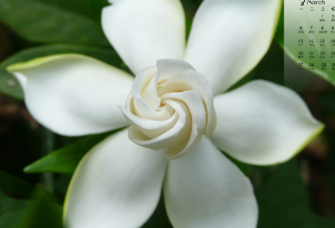 1688695935118204.png image.png