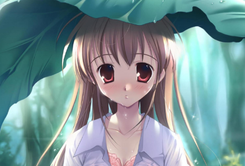 1686017813650855.png image.png