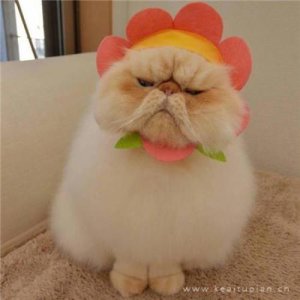 ​安全标语口号优秀大全 工厂生产车间标语横幅口号