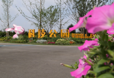 ​古诗村居赏析（村居古诗原文及翻译）