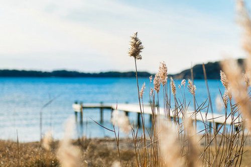 关于厉行节约反对浪费标语(精选62句)