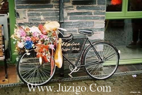 电视台口号84句