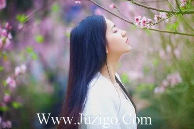 ​坚果口号坚果果仁口号(精选45句)