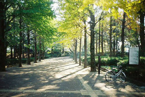 2024精选运动会方队口号 研究生运动会方队口号