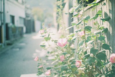 ​反假币宣传口号15句