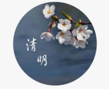 ​环保宣传语六个字 倡导低碳生活的宣传口号