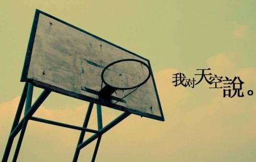 森林的环保标语有哪些