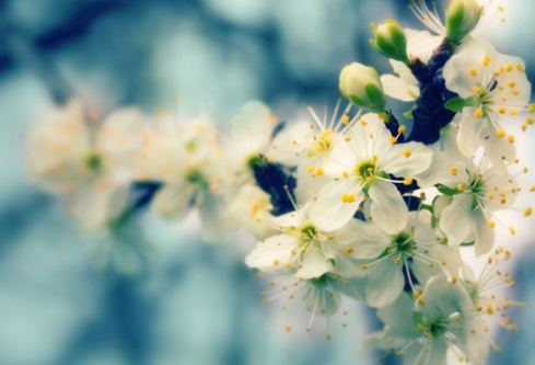 1686197022530969.png image.png