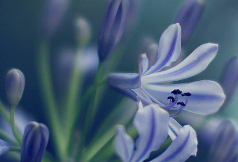 1686193199127511.png image.png