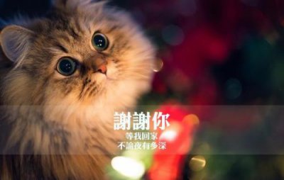 ​高考百日口号霸气[18条]