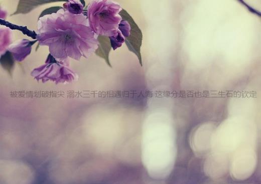 人居环境整治百日行动宣传标语