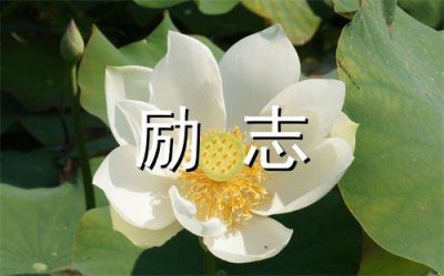 ​对爱情绝望的伤感句子表达心情短语