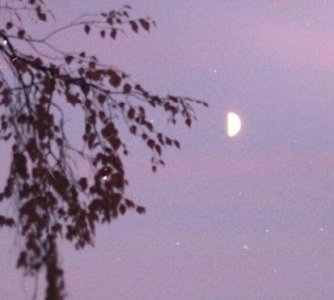 ​青春心情的励志句子