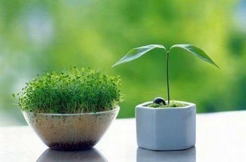 感恩老师的教师节经典句子