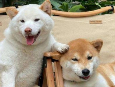 ​心情小语录94句