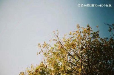 ​春季趣味运动会俏皮口号(精选49句)