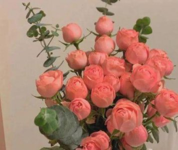 ​暗示心情不好的短句 心情不好的句子(40句)