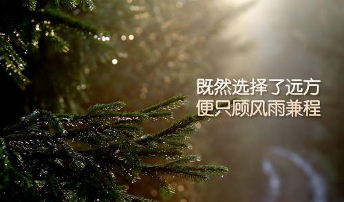 心情悲伤的句子摘抄