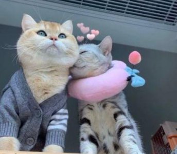 ​下雨诗句表达心情不好35句